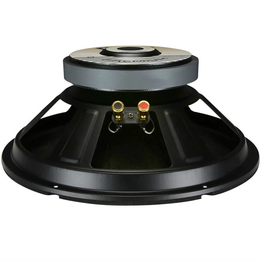 Pyle 1 WOOFER PPA10 PPA 10 altoparlante diffusore da 25,00 cm 250 mm 10" da 300 watt rms e 600 watt max impedenza 8 ohm per casa feste party, 1 pezzo