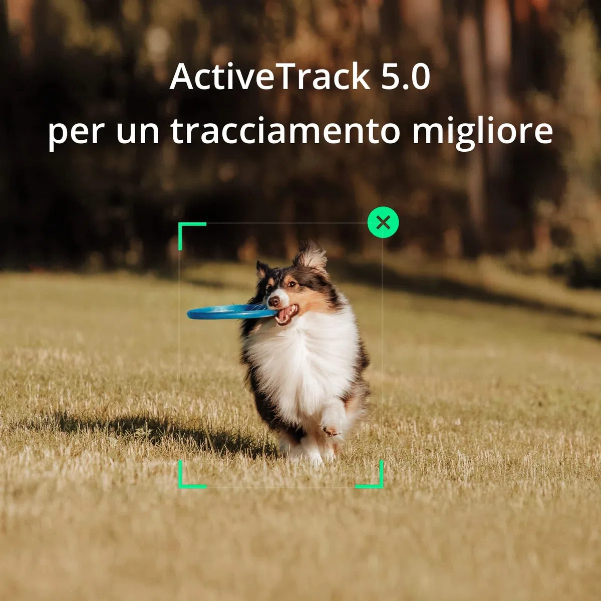 DJI Stabilizzatore OSMO Mobile SE per Smartphone, Stabilizzatore a 3 Assi, Manico telescopico, Portatile e Pieghevole, per Android/iPhone con ShotGuides, ActiveTrack 6.0 per Vlogging
