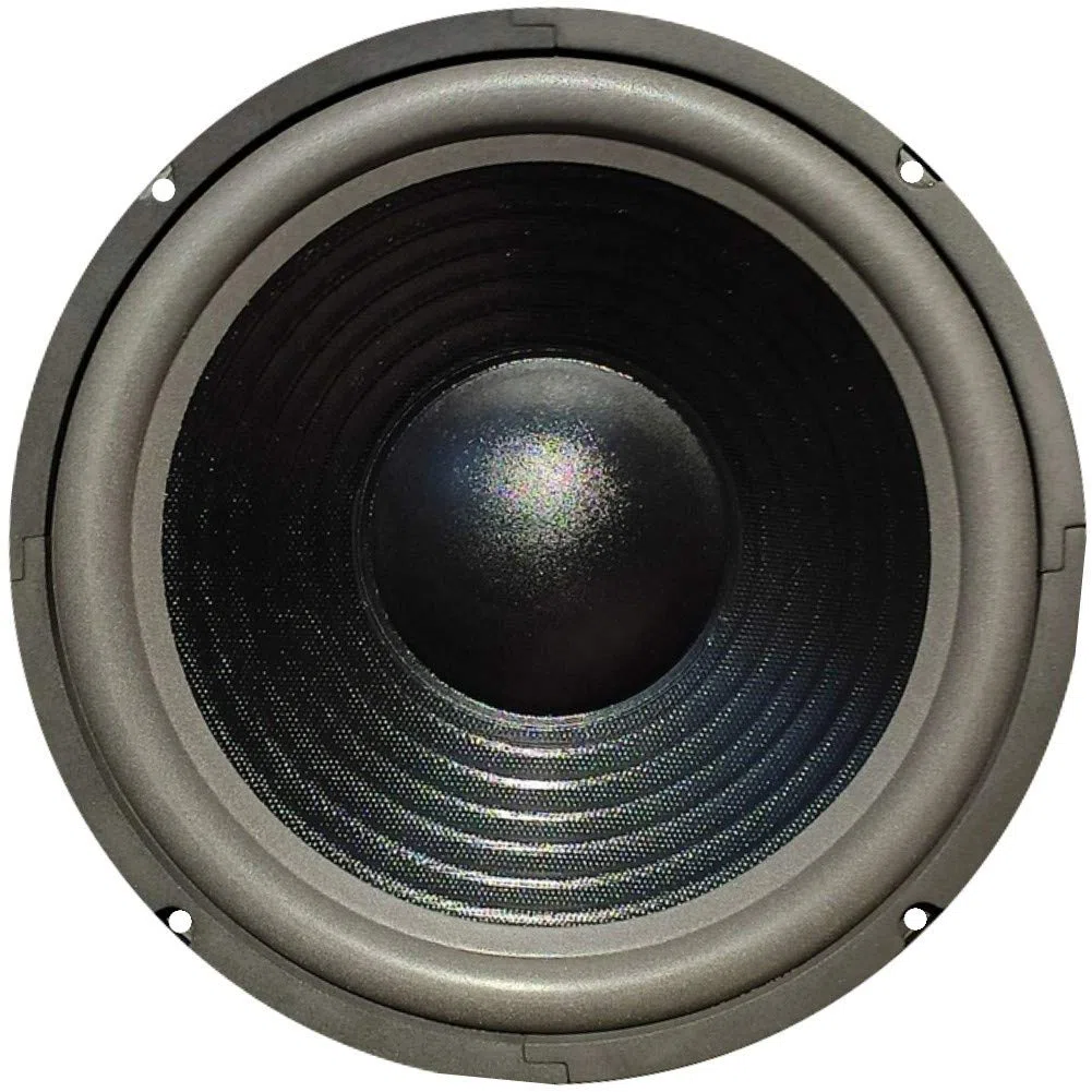 MASTER AUDIO 1 WOOFER CW1000/8 altoparlante da 25,00 cm 250 mm 10" da 220 watt rms e 440 watt max impedenza 8 ohm casa sensibilità 90 db, 1 pezzo