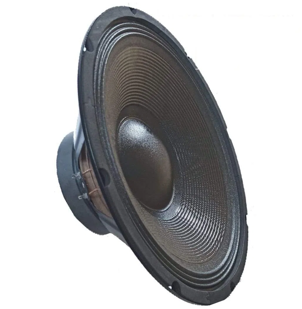 WOOFER 30 CM 4 OHM 31 CM 12" POLLICI 500W SUBWOOFER PANNELLO AUTO ALTOPARLANTE