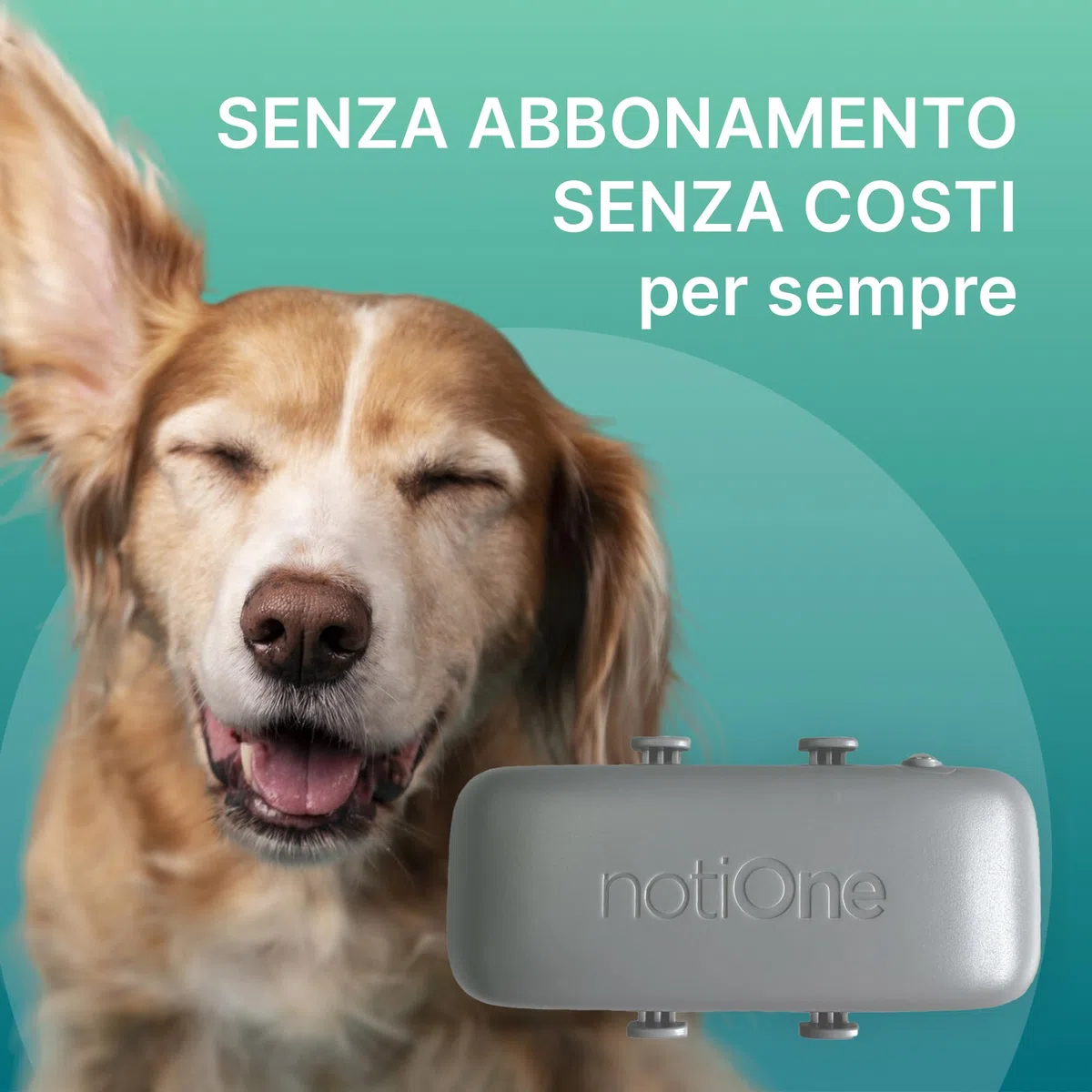 Localizzatore GPS per cani BASIC senza abbonamento | Mini localizzatore impermeabile per cani e gatti | Collare GPS cane - Funziona in un paese europeo a scelta