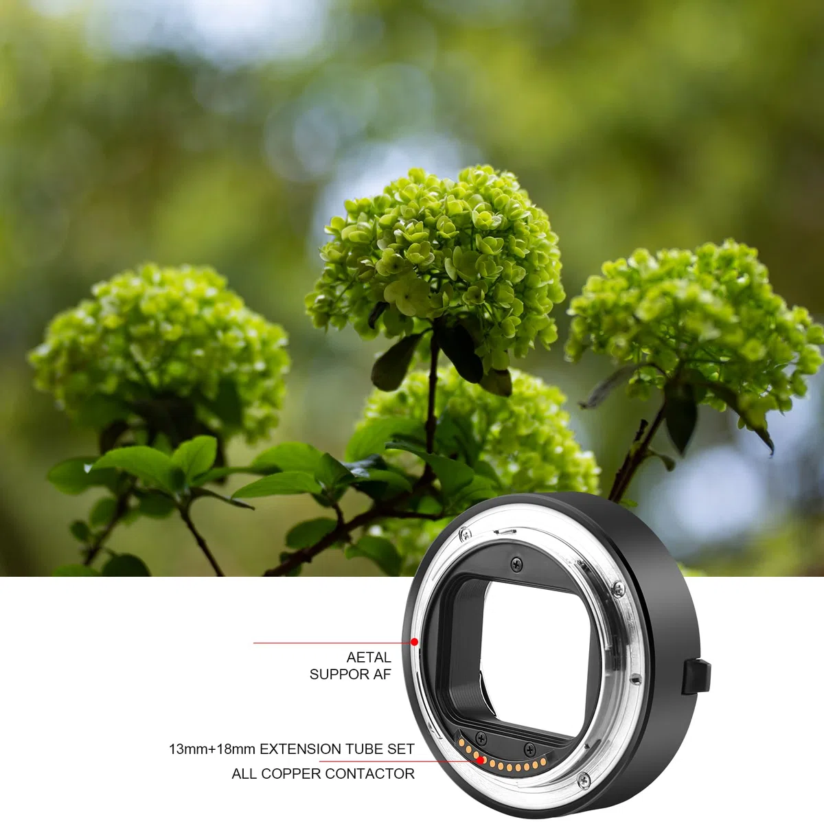 Meike MK-RF-AF1 - Kit di tubi di prolunga macro per autofocus in metallo, 13 mm + 18 mm, per fotocamere con montaggio RF, serie EOS-R, EOS-RP