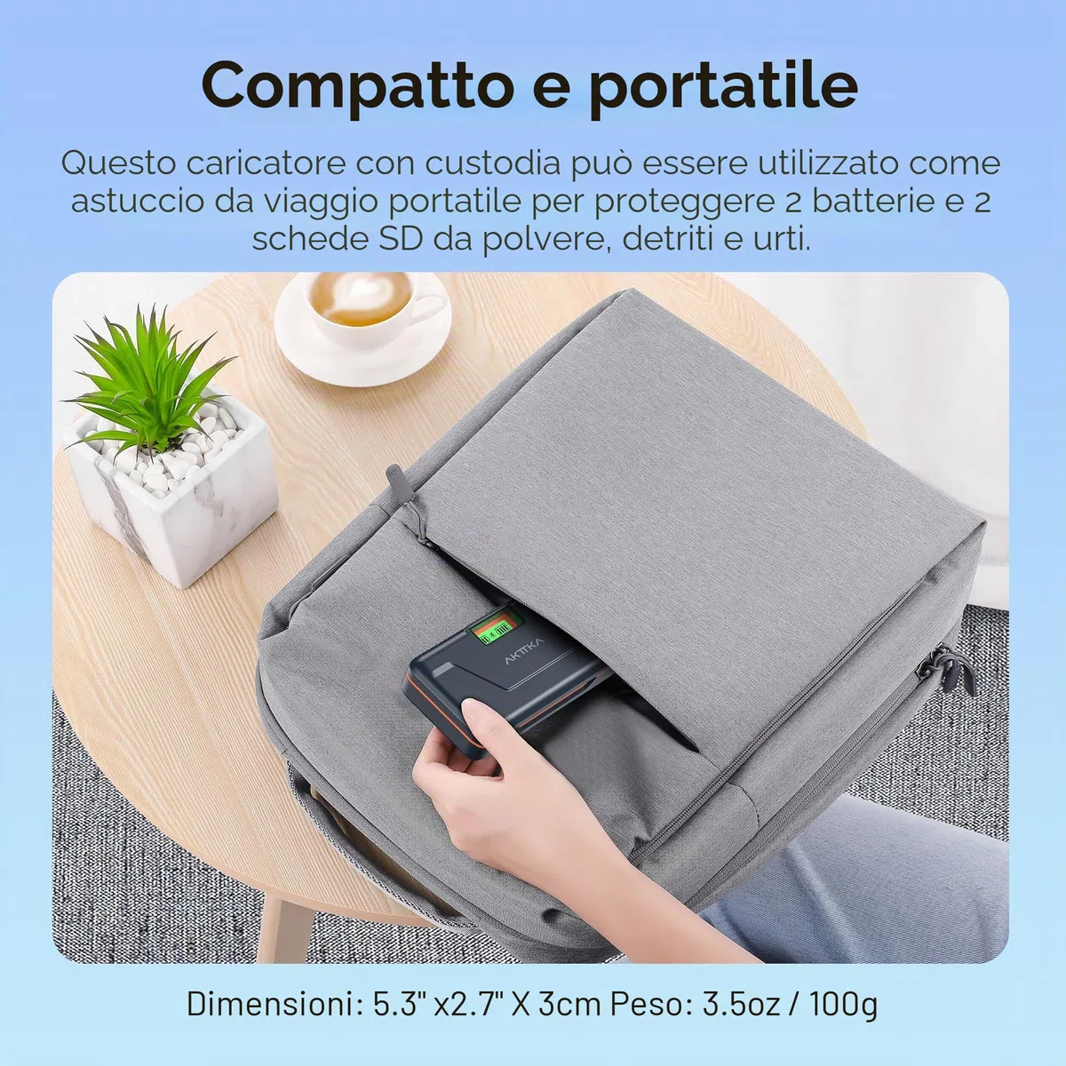 NP-FZ100 Batteria 2280mAh (2 Pack) – Caricabatterie Rapido 20W Con Custodia Per Sony A7iii, A7iv, A7C, A6700, A6600, ZV-E1, ZV-E10ii, FX3, FX30, A9, A9S, A7R3, A7R4,Display LCD E SD
