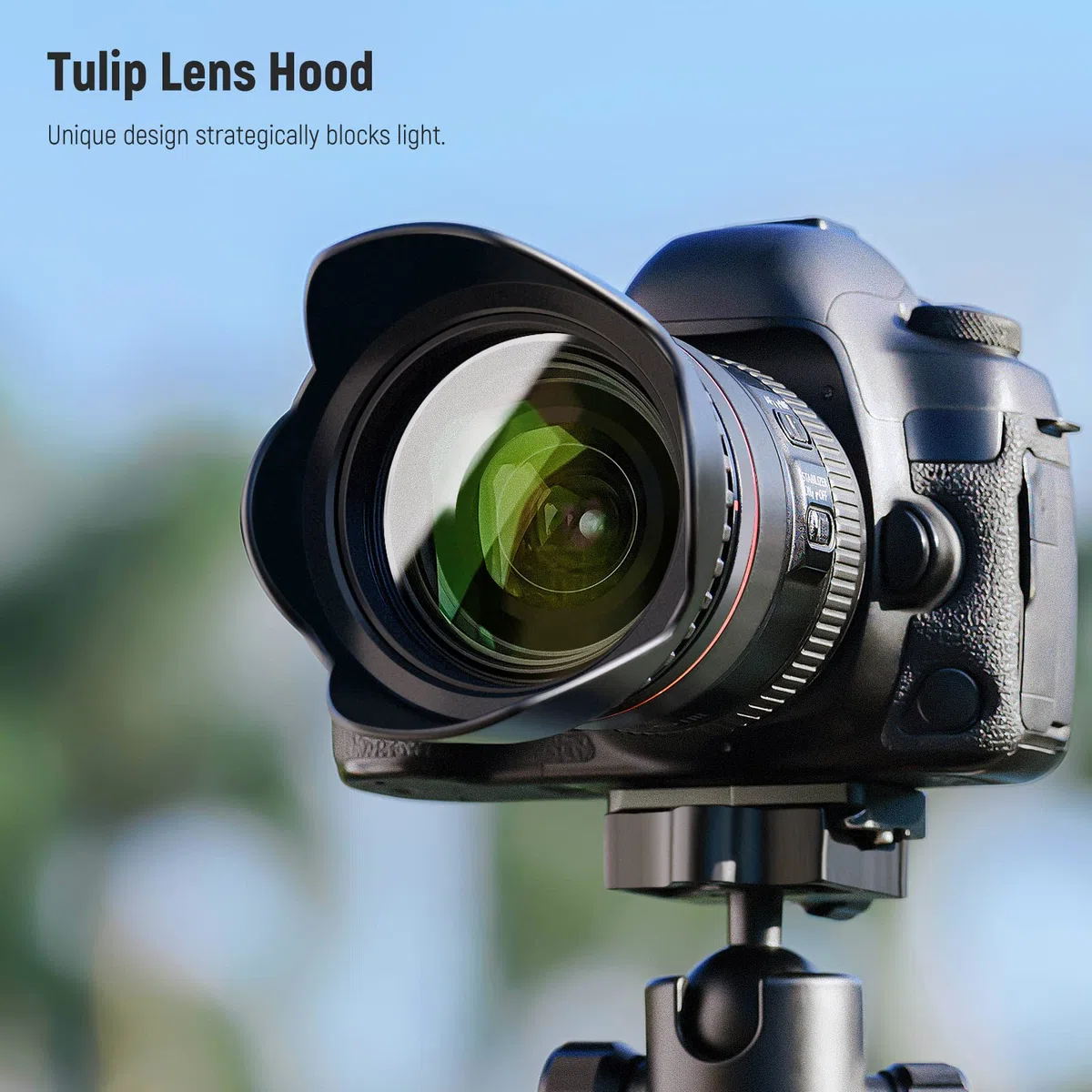 NEEWER Kit di filtri e accessori per lenti ND2 ND4 ND8 UV CPL (polarizzazione circolare) da 77 mm con copriobiettivo, paraluce a tulipano, paraluce in pieghevole, custodia per filtro, laccio di