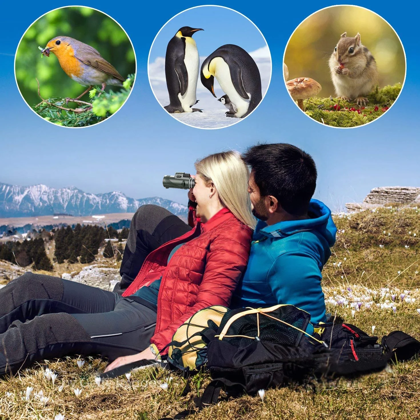 Pankoo 60x40 HD Telescopio monoculare ad alta potenza per adulti con treppiede e adattatore per smartphone - Ideale per birdwatching, escursionismo, viaggi, concerti - Prisma BAK4, colori chiari
