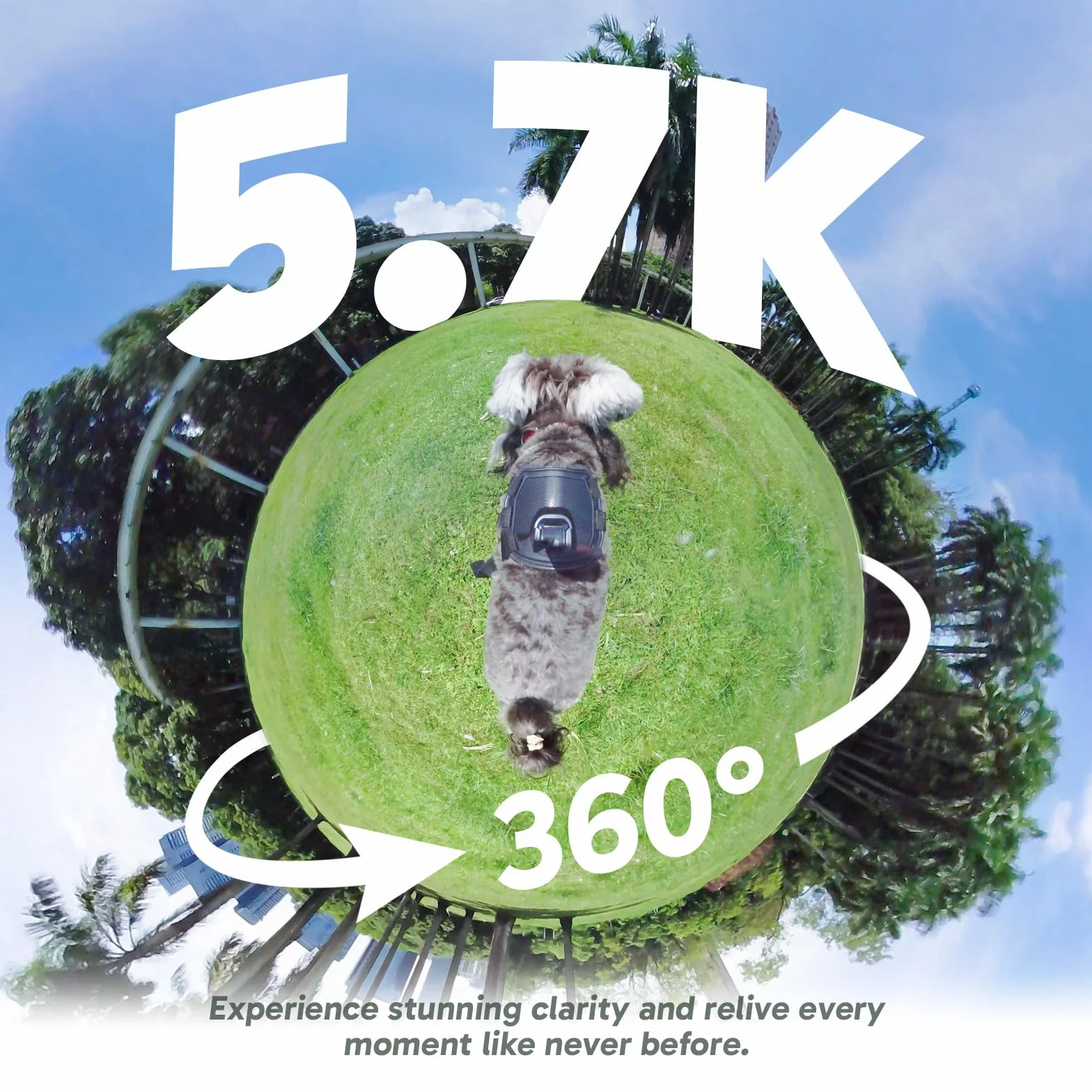AKASO Action Cam Creator 360° con microSD da 256 GB