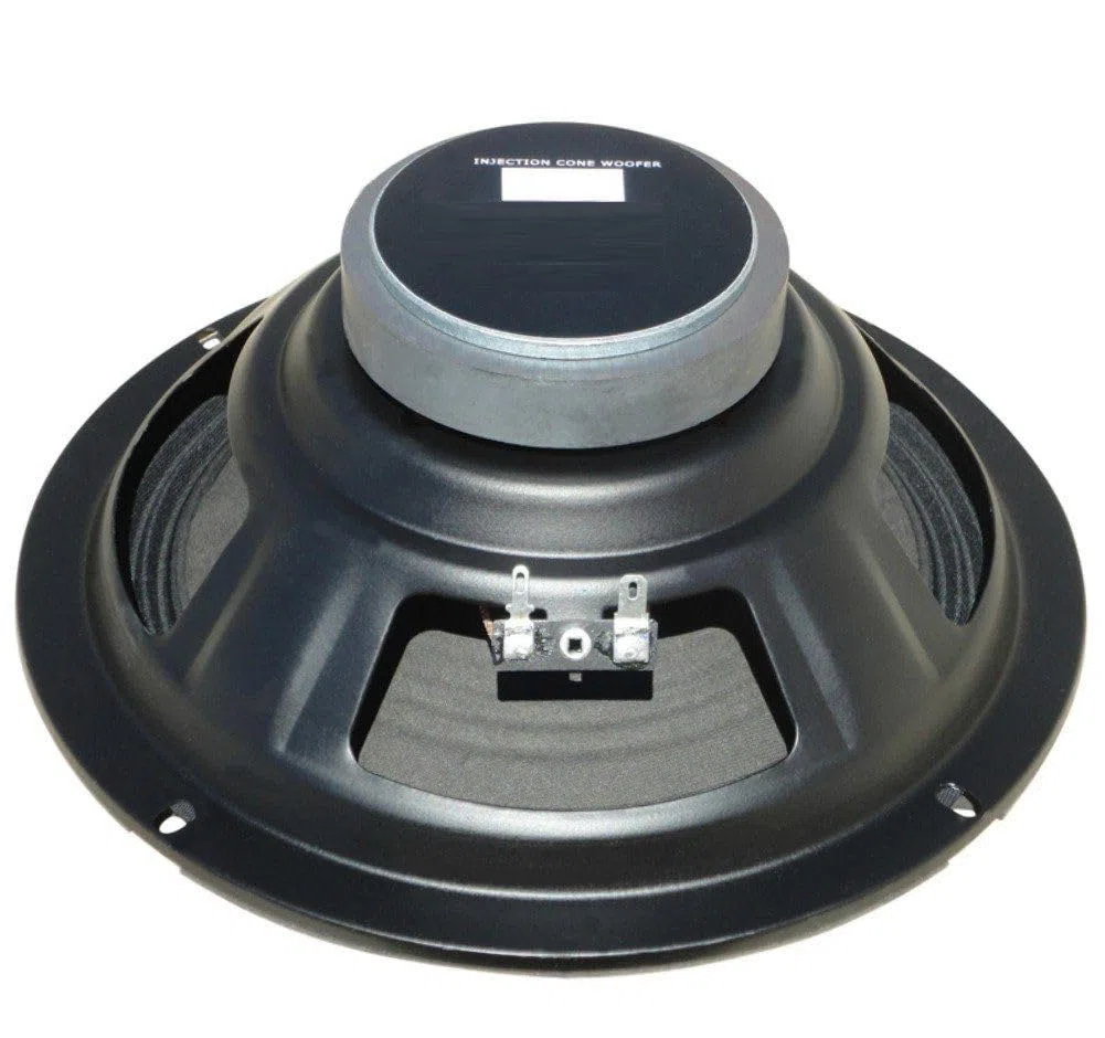 COPPIA WOOFER 20 CM 8 o 4 Ohm 300W x 2 - ALTOPARLANTE 8" 21 CM x casse acustiche o auto (scegli l'impedenza che ti serve) (4 Ohm)