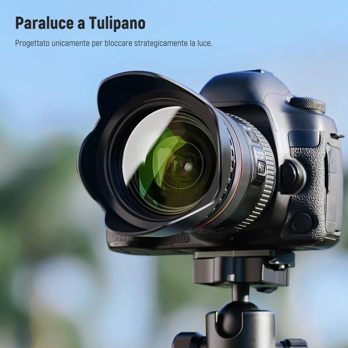 NEEWER Kit di filtri per lenti da 67 mm: UV, CPL, FLD, ND2, ND4, ND8, Parasole e copriobiettivo compatibili con Canon Nikon Sony Panasonic DSLR fotocamere con obiettivo 67 mm