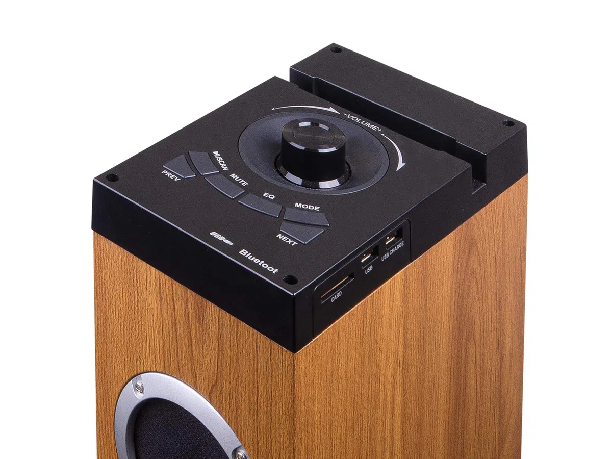 Trevi XT 10A8 BT, Altoparlante Bluetooth Amplificato Potente con Telecomando, Potenza 60W, USB charge, Ingressi AUX-IN, MP3, con Piedistallo Superiore per Appoggio Tablet, Smartphone, Legno