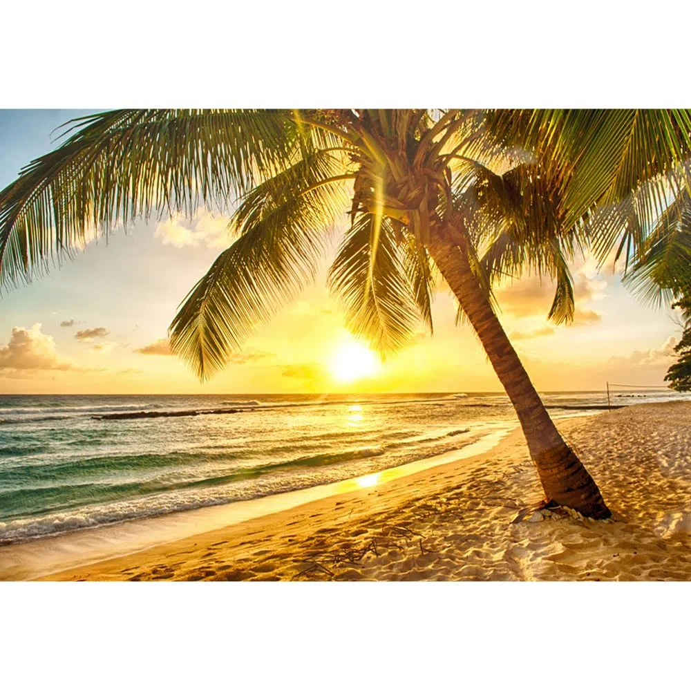 Aoihrraan 3x2m Estate Tropicale Spiaggia Sfondo Palm Alberi Mare Tramonto Oceano Paesaggio Fotografia Sfondo Estate Campo Matrimonio Video Festa Decorazione Bambini Adulti Ritratto Foto Prop